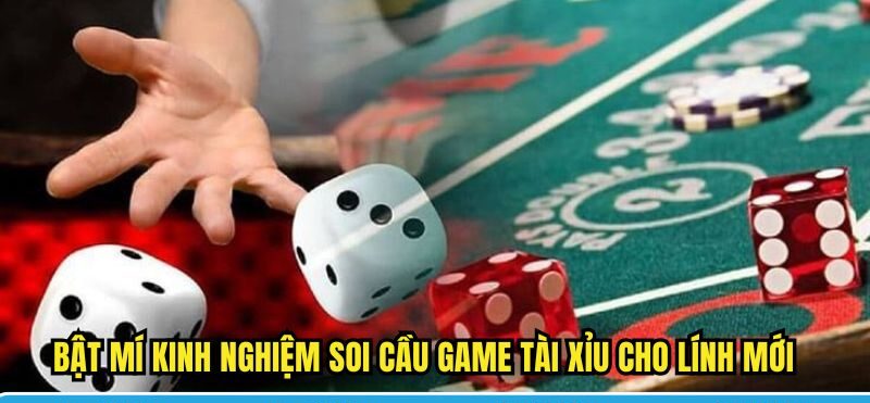 Bật mí kinh nghiệm soi cầu game tài xỉu cho lính mới 